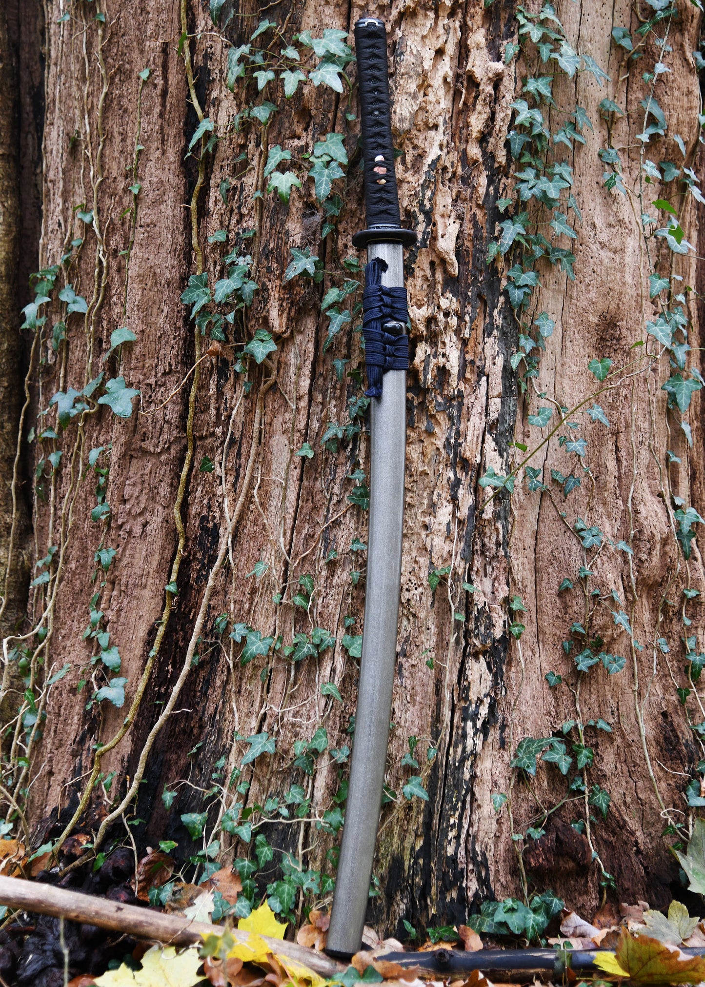 Katana Celestial de Paul Chen - Hanwei-T.A DEFENSE